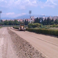 TJK HİPODROM MÜDÜRLÜĞÜ